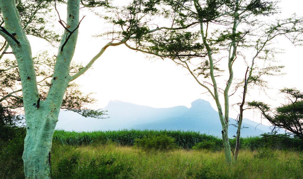 Ghost Mountain Herberg Mkuze