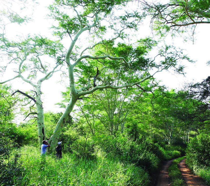 Herberg Ghost Mountain Mkuze